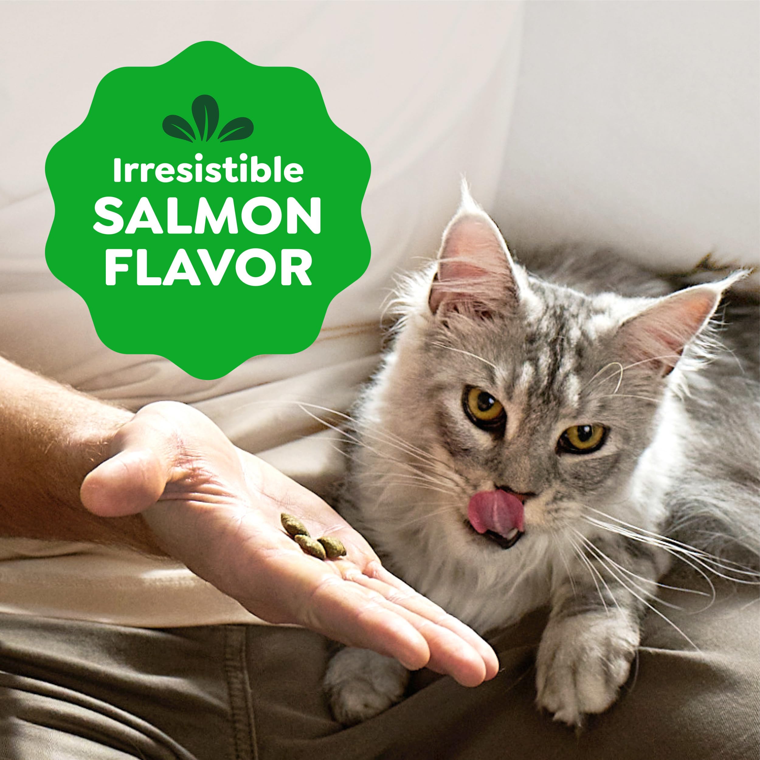 Greenies Cat Treats, Feline Smartbites, Skin & Fur Health, Crunchy and Soft Cat Treats, Salmon Flavor, 2.1 oz. Pack - Image 7