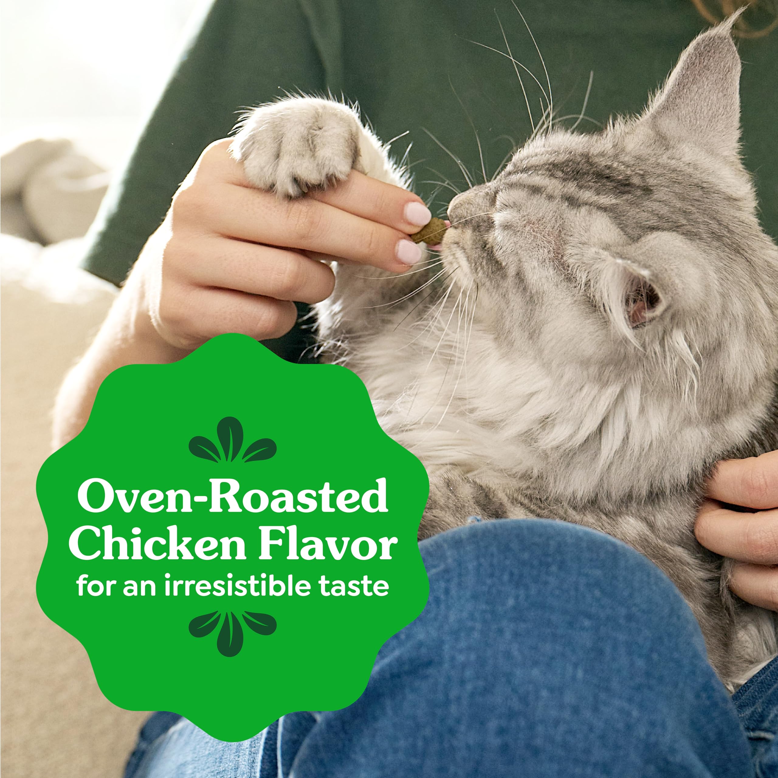 Greenies Cat Treats, Feline Veterinarian-Recommended Adult Natural Dental Cat Treats, Oven Roasted Chicken Flavor, 2.1 oz. Pouch - Image 10
