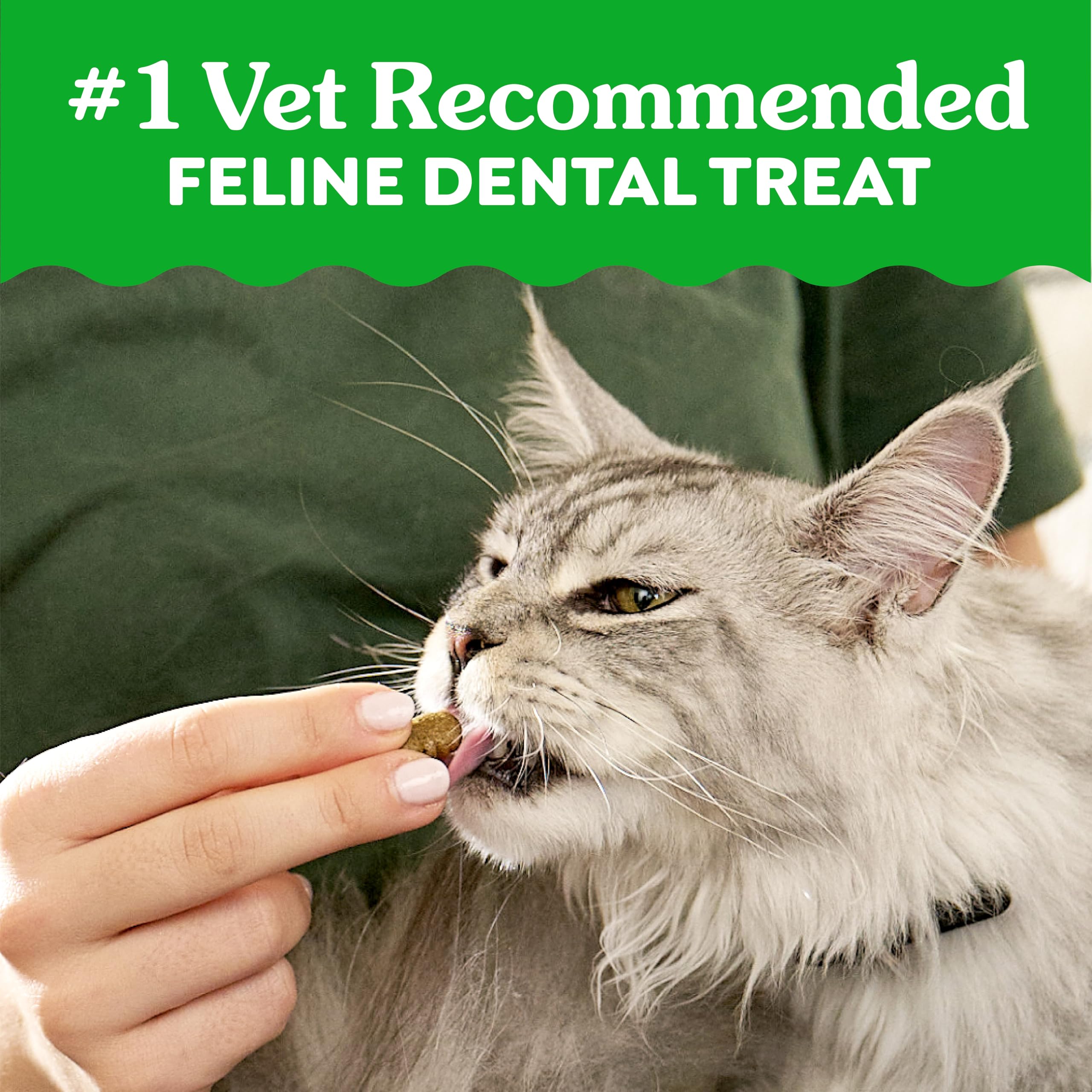 Greenies Cat Treats, Feline Veterinarian-Recommended Adult Natural Dental Cat Treats, Savory Salmon Flavor, 2.1 oz. Pouch - Image 4