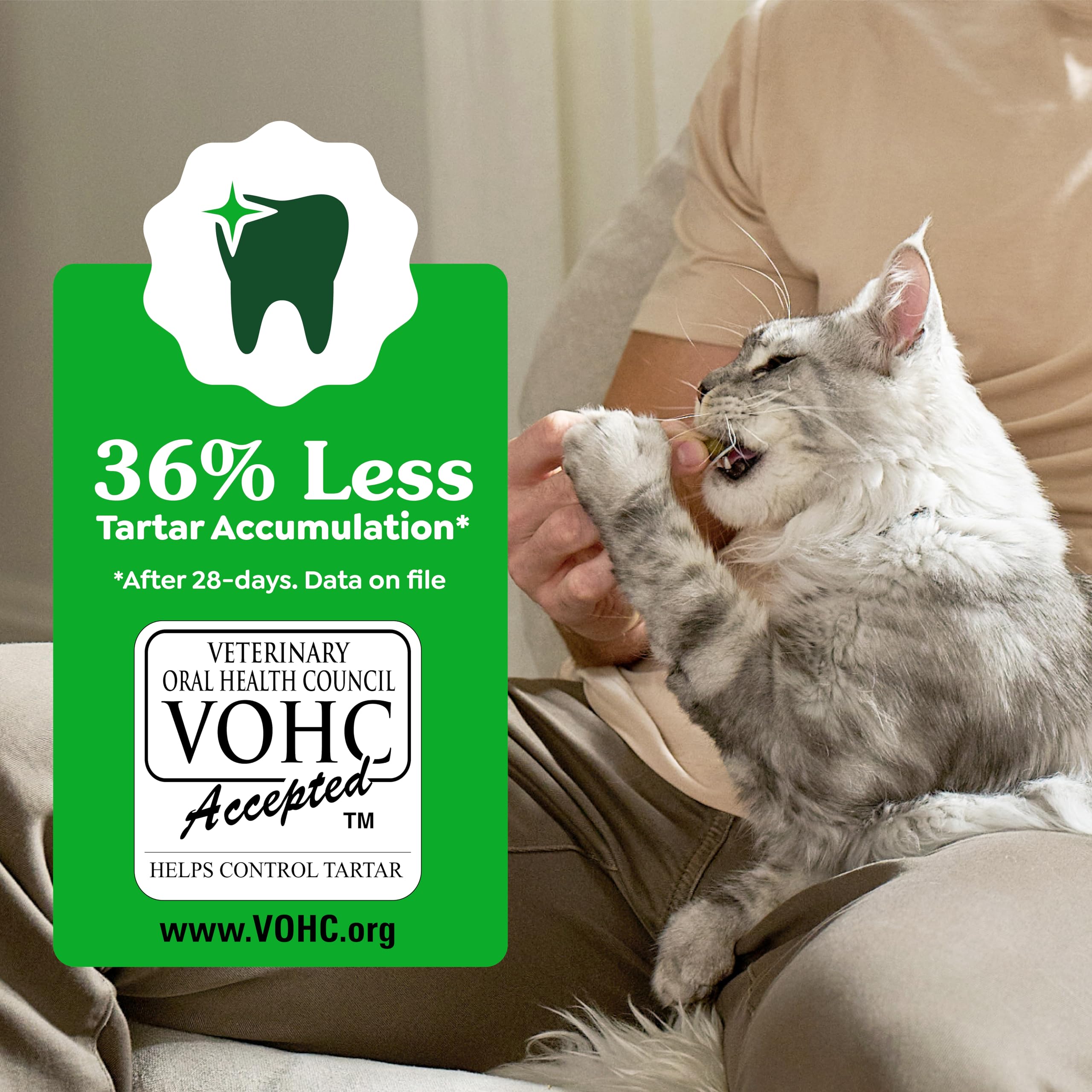 Greenies Cat Treats, Feline Veterinarian-Recommended Adult Natural Dental Cat Treats, Savory Salmon Flavor, 2.1 oz. Pouch - Image 7