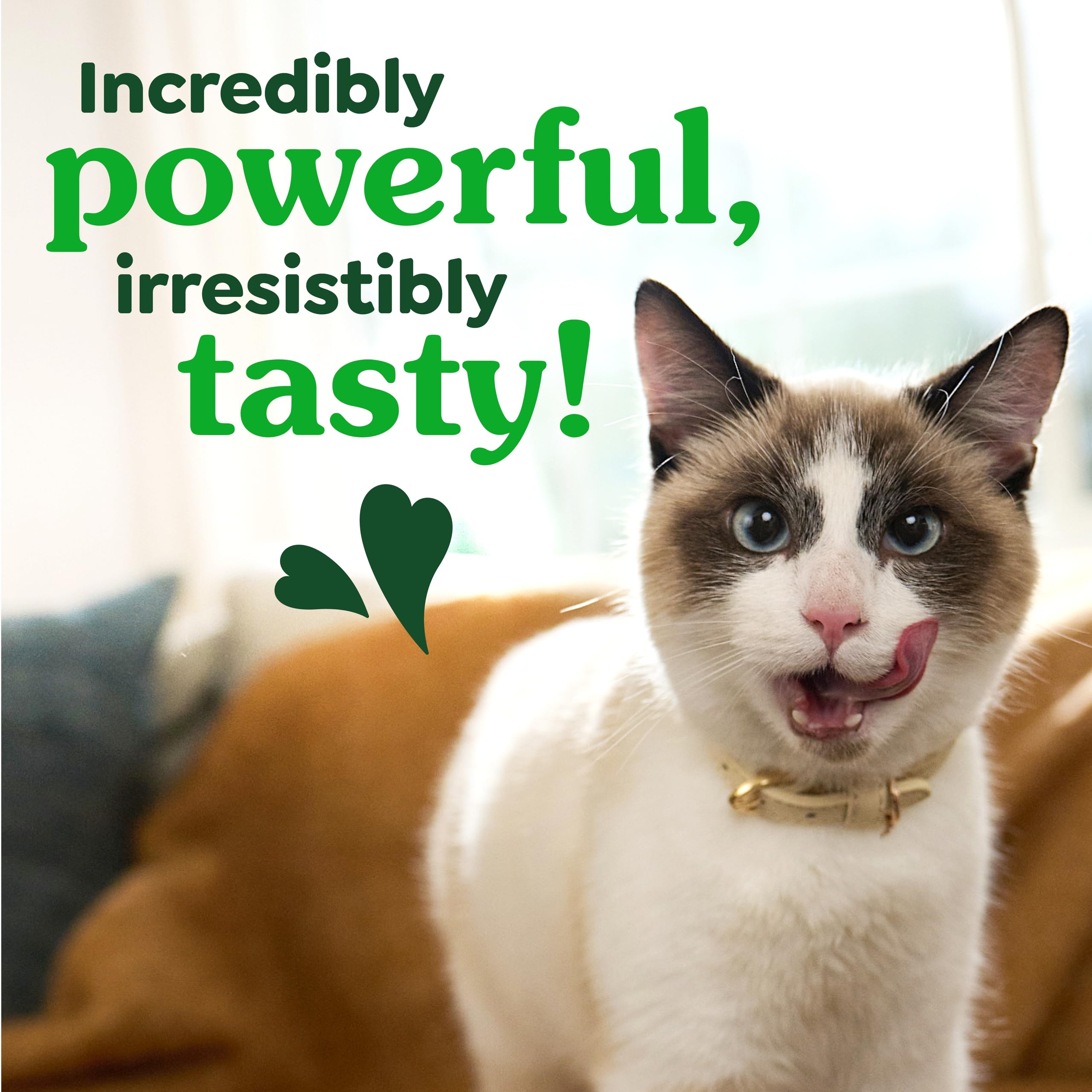Greenies Cat Treats, Feline Veterinarian-Recommended Adult Natural Dental Cat Treats, Savory Salmon Flavor, 2.1 oz. Pouch - Image 8