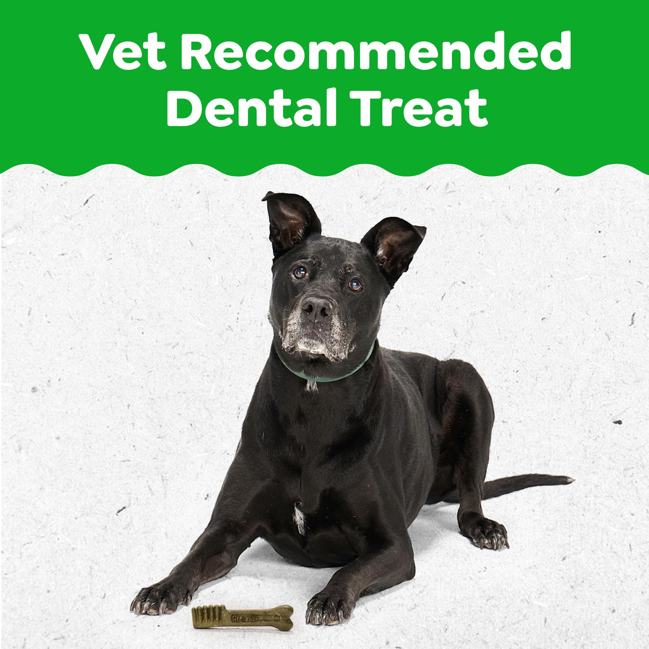 Greenies Dental Treats for Dogs, Veterinarian-Recommended Aging Care Adult Natural Dental Dog Treats, Large Size, 27 oz. Pack, 17 Count - Image 3