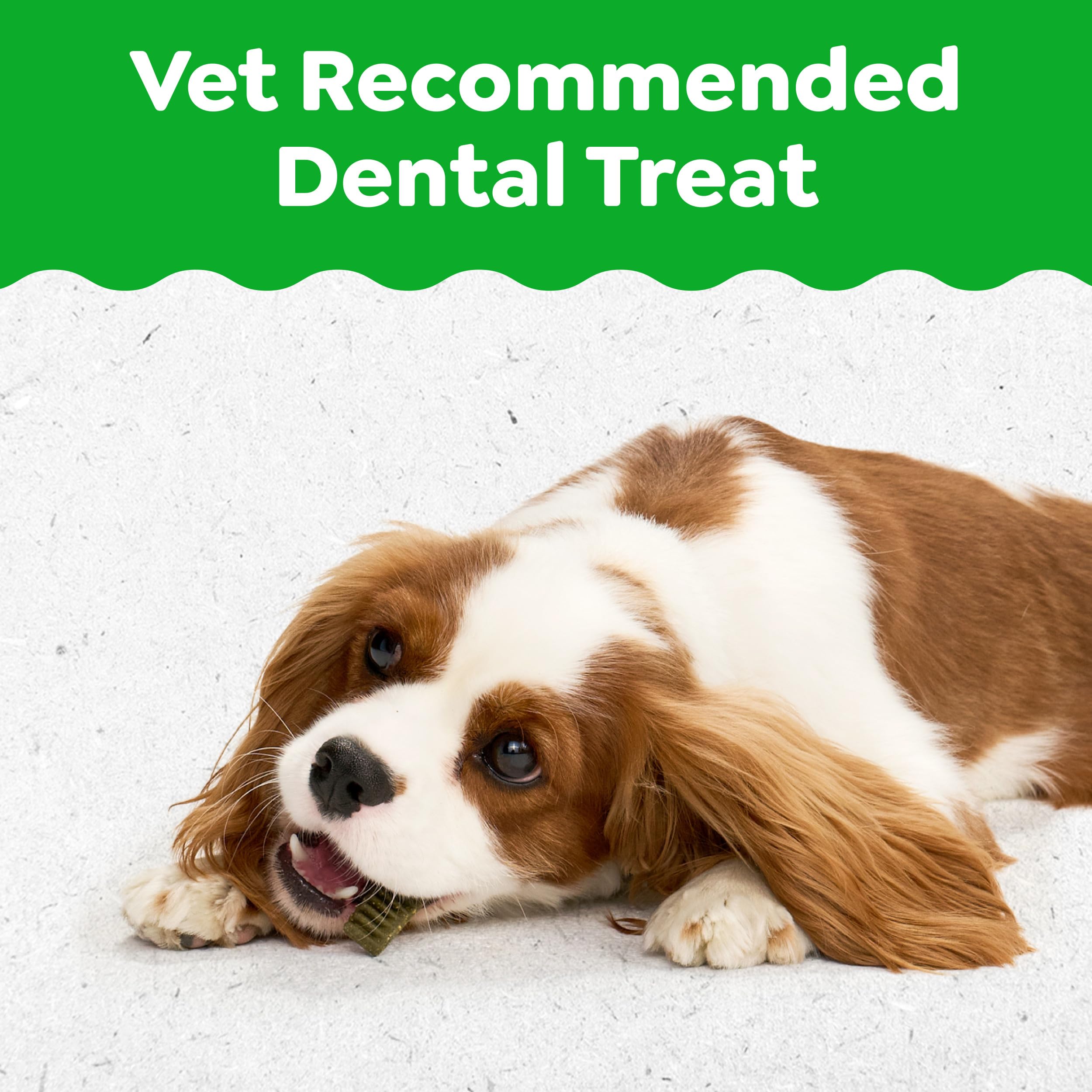 Greenies Dental Treats for Dogs, Veterinarian-Recommended Natural Puppy Treats Regular Size, 6 oz. Pack, 12 Count - Image 3