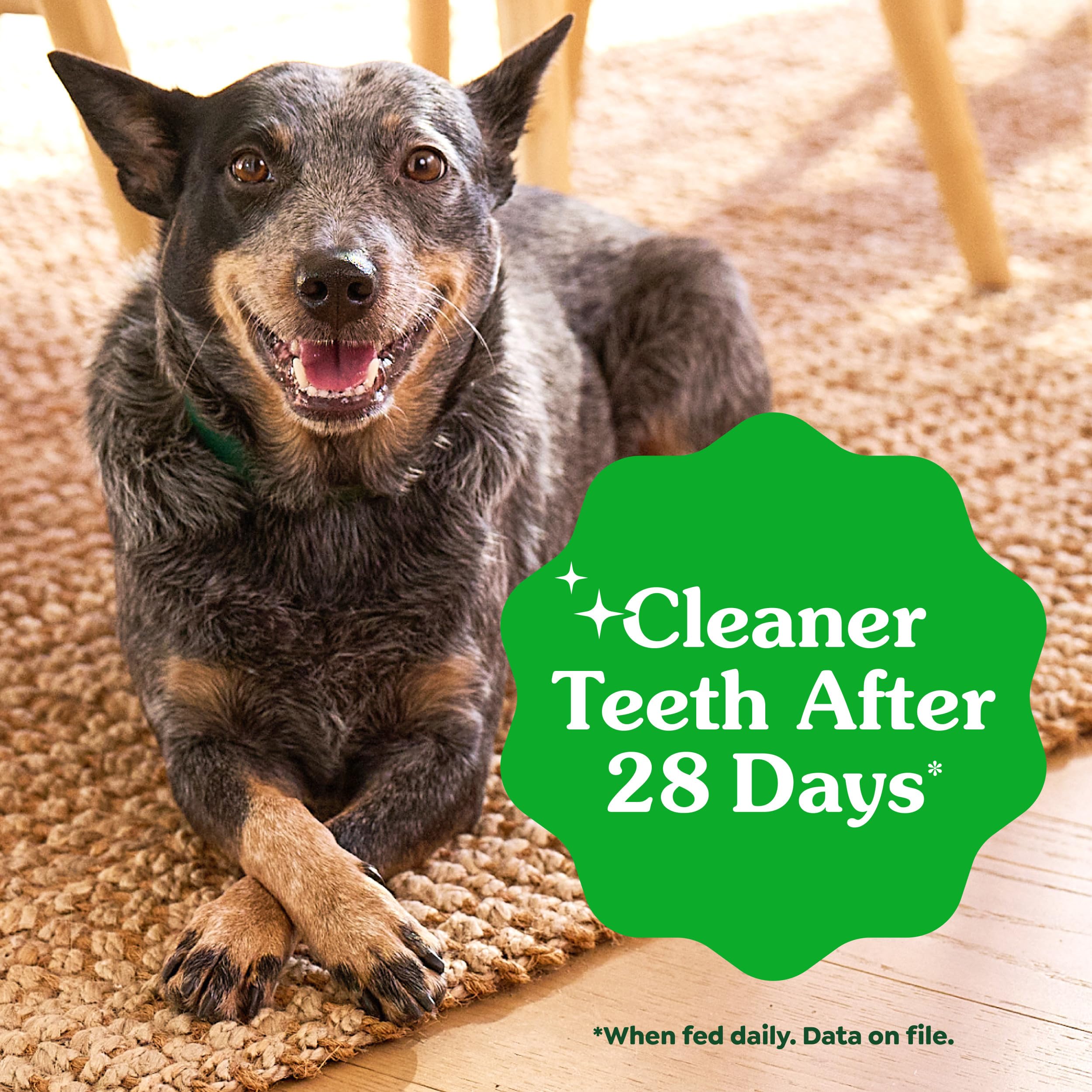 Greenies Dental Treats for Dogs, Veterinarian-Recommended Natural Puppy Treats Regular Size, 6 oz. Pack, 12 Count - Image 5