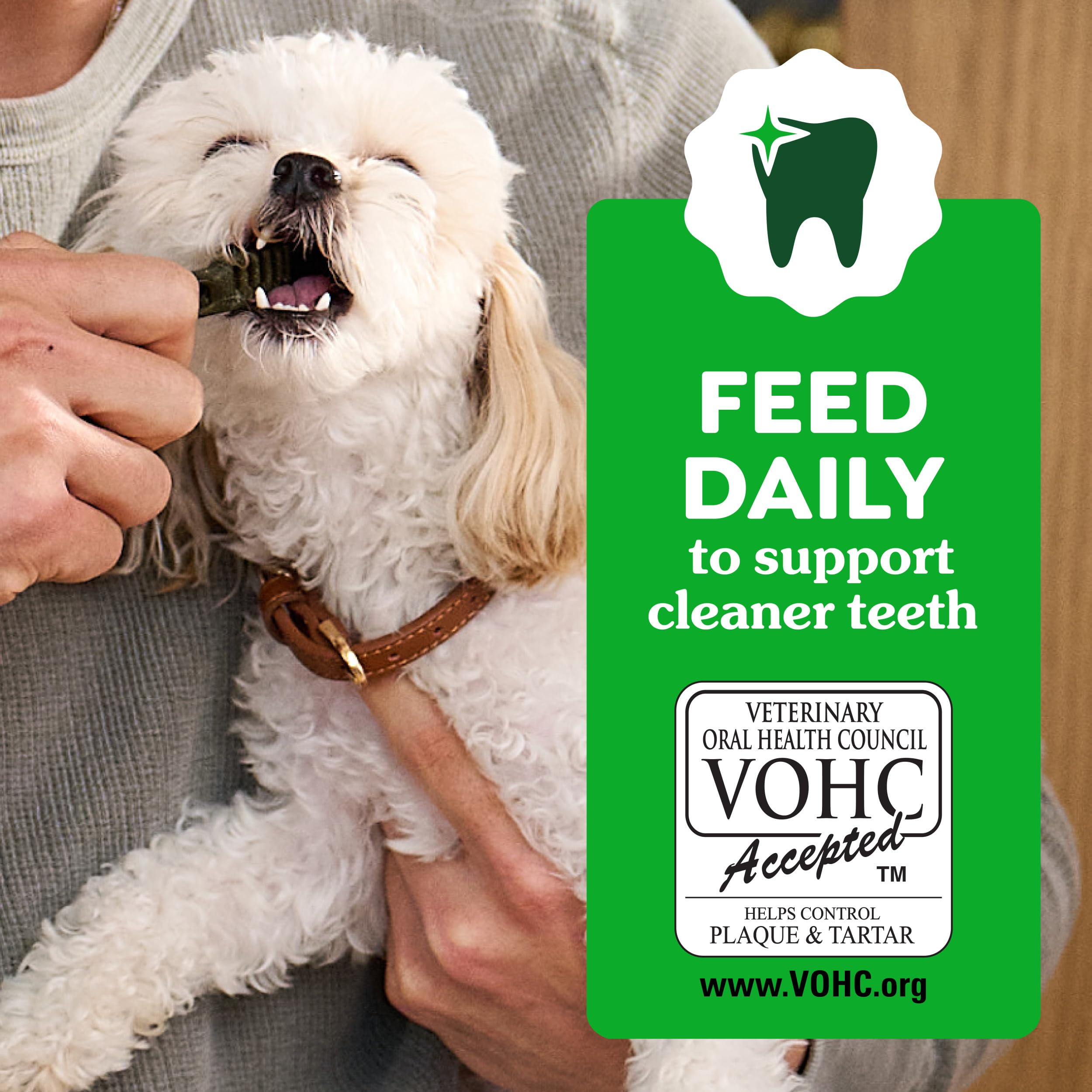 Greenies Dental Treats for Dogs, Veterinarian-Recommended Natural Puppy Treats Regular Size, 6 oz. Pack, 12 Count - Image 6