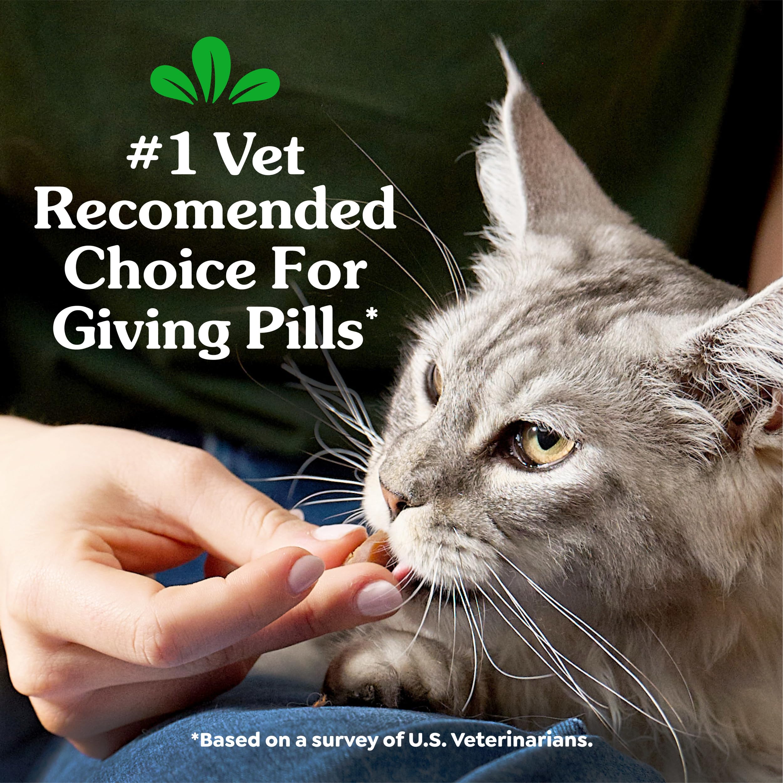 Greenies Feline Pill Pockets for Cats Natural Soft Cat Treats, Catnip Flavor, 1.6 oz. Pouch (45 Treats) - Image 3