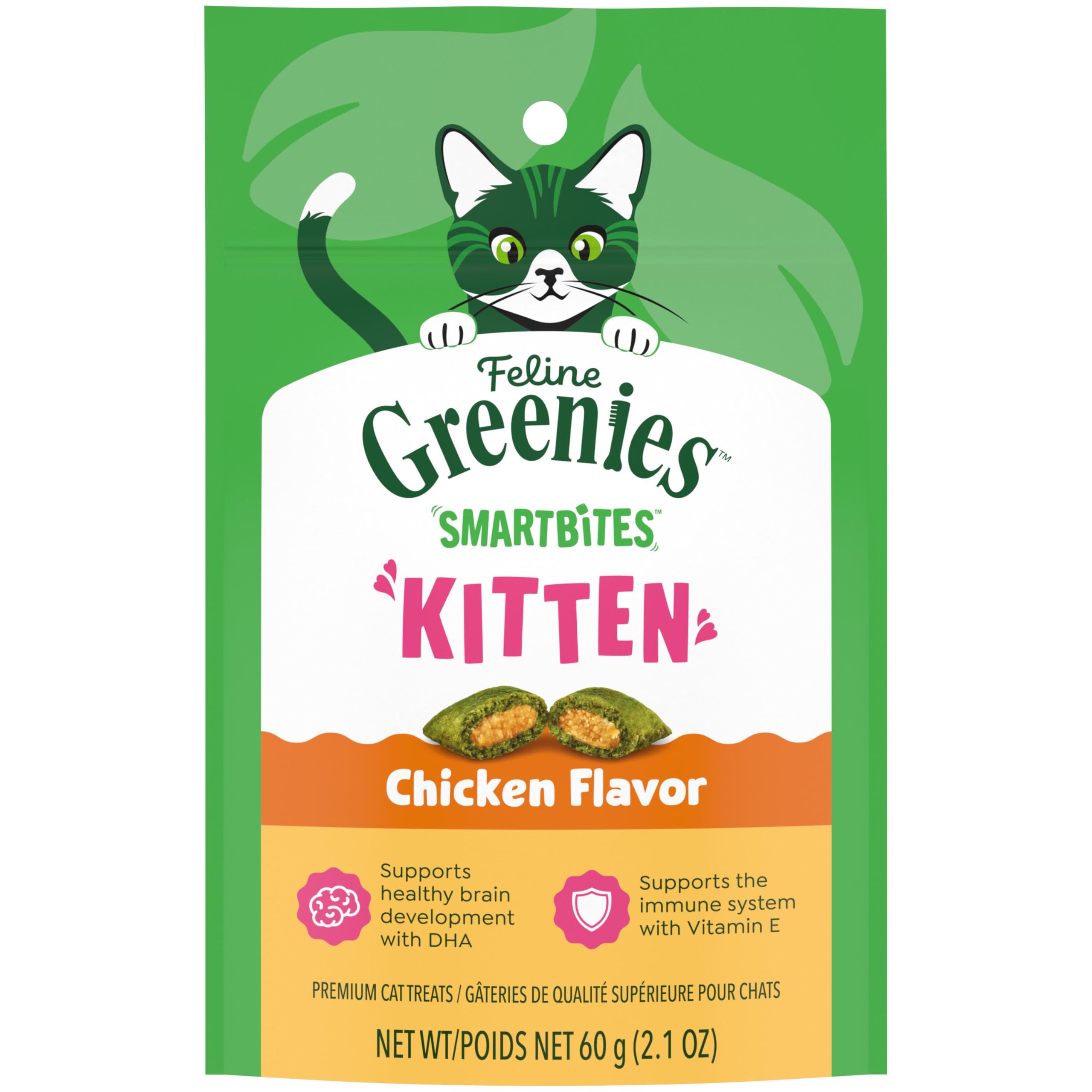 Kitten