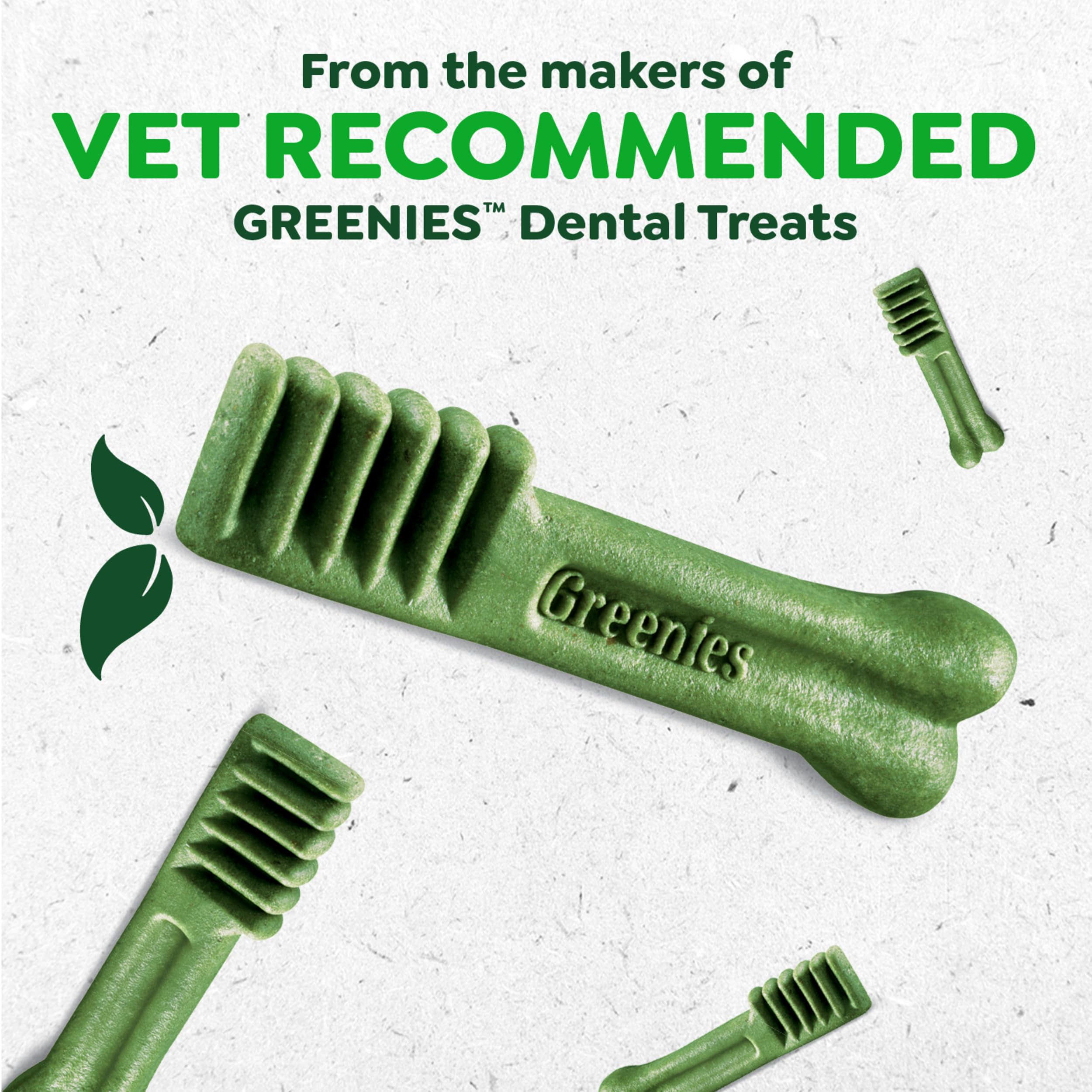Greenies Occupy Twists Natural Dog Treats Large Breed Size Dog Chews Long Lasting Chicken Flavor, 8.55 oz. Pack, 4 Count - Image 7