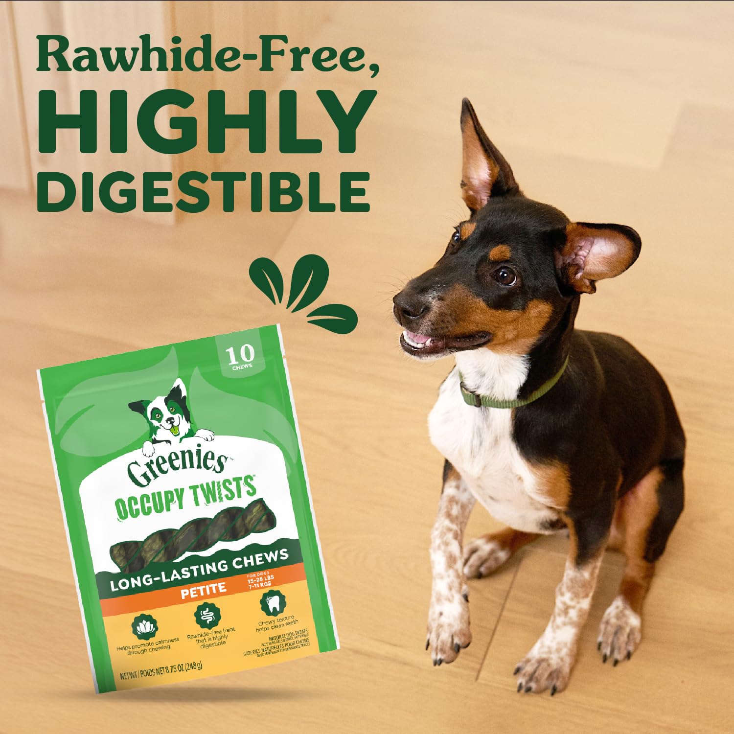 Greenies Occupy Twists Natural Dog Treats Petite Size Dog Chews Long Lasting Chicken Flavor, 8.75 oz. Pack, 10 Count - Image 4
