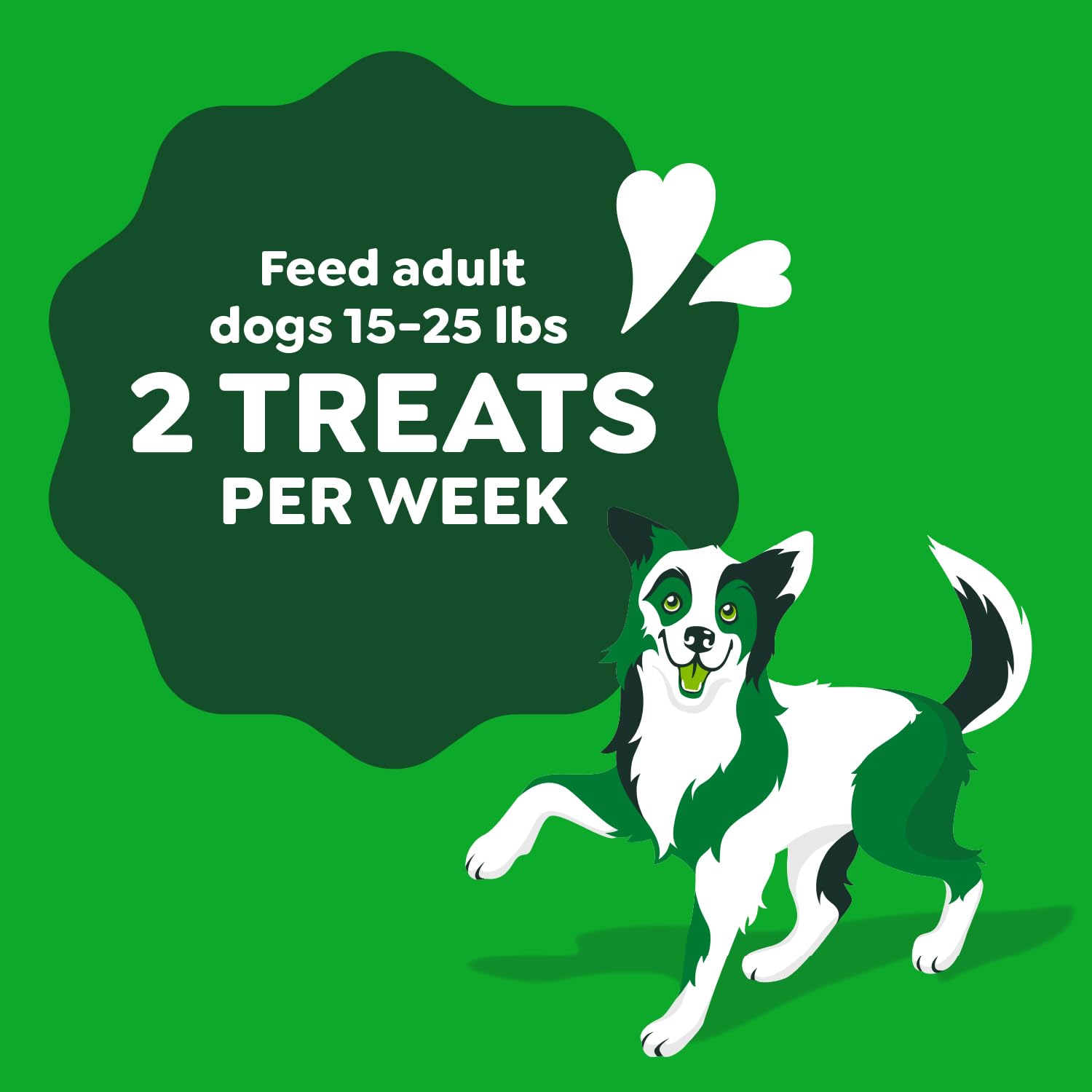 Greenies Occupy Twists Natural Dog Treats Petite Size Dog Chews Long Lasting Chicken Flavor, 8.75 oz. Pack, 10 Count - Image 7