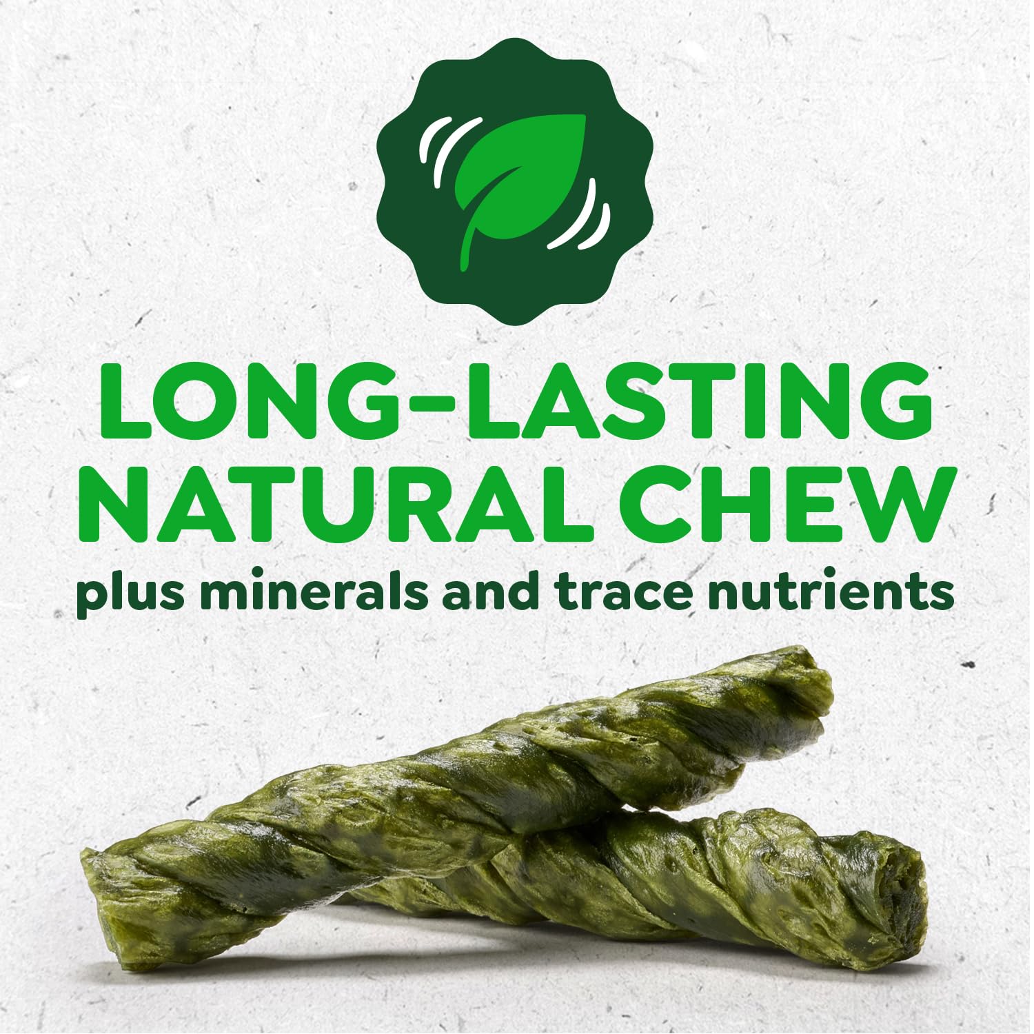 Greenies Occupy Twists Natural Dog Treats Petite Size Dog Chews Long Lasting Chicken Flavor, 8.75 oz. Pack, 10 Count - Image 3