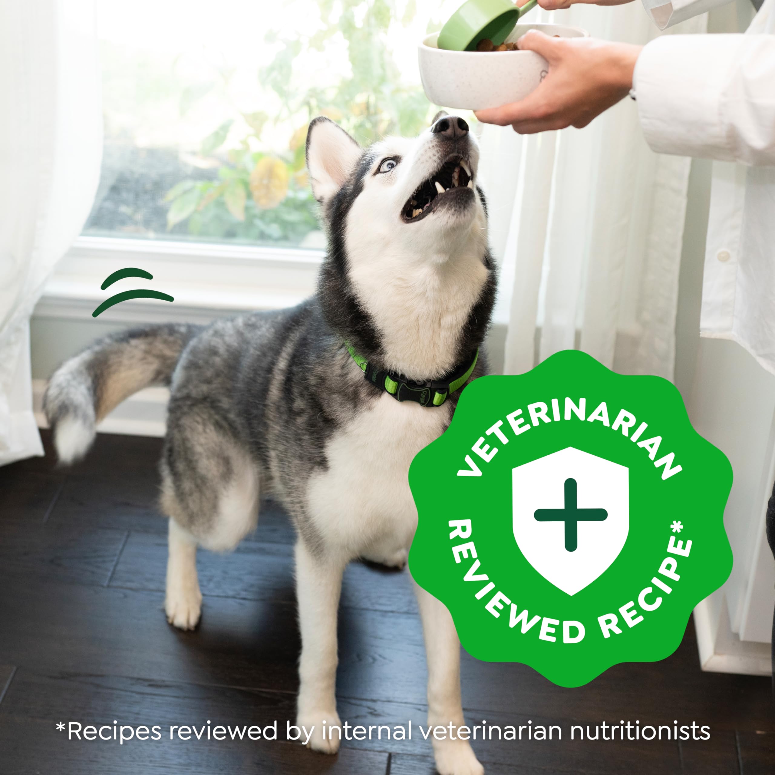 Greenies Smart Essentials Sensitive Digestion & Skin Adult Dry Dog Food Real Lamb & Brown Rice Recipe, 15 lb. Bag - Image 11