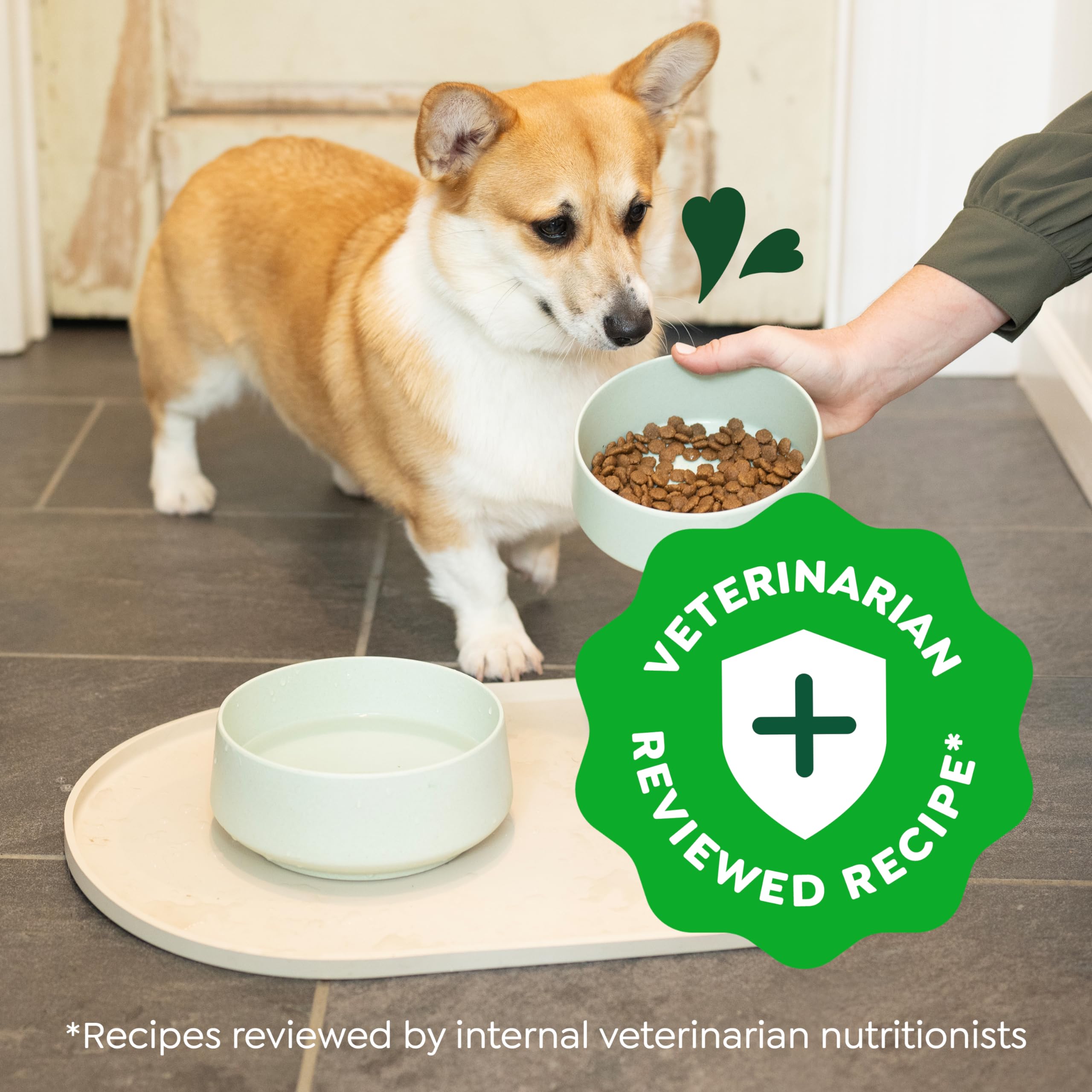 Greenies Smart Essentials Small Breed Adult High Protein Dry Dog Food Real Chicken & Rice Recipe, 5.5 lb. Bag - Image 11