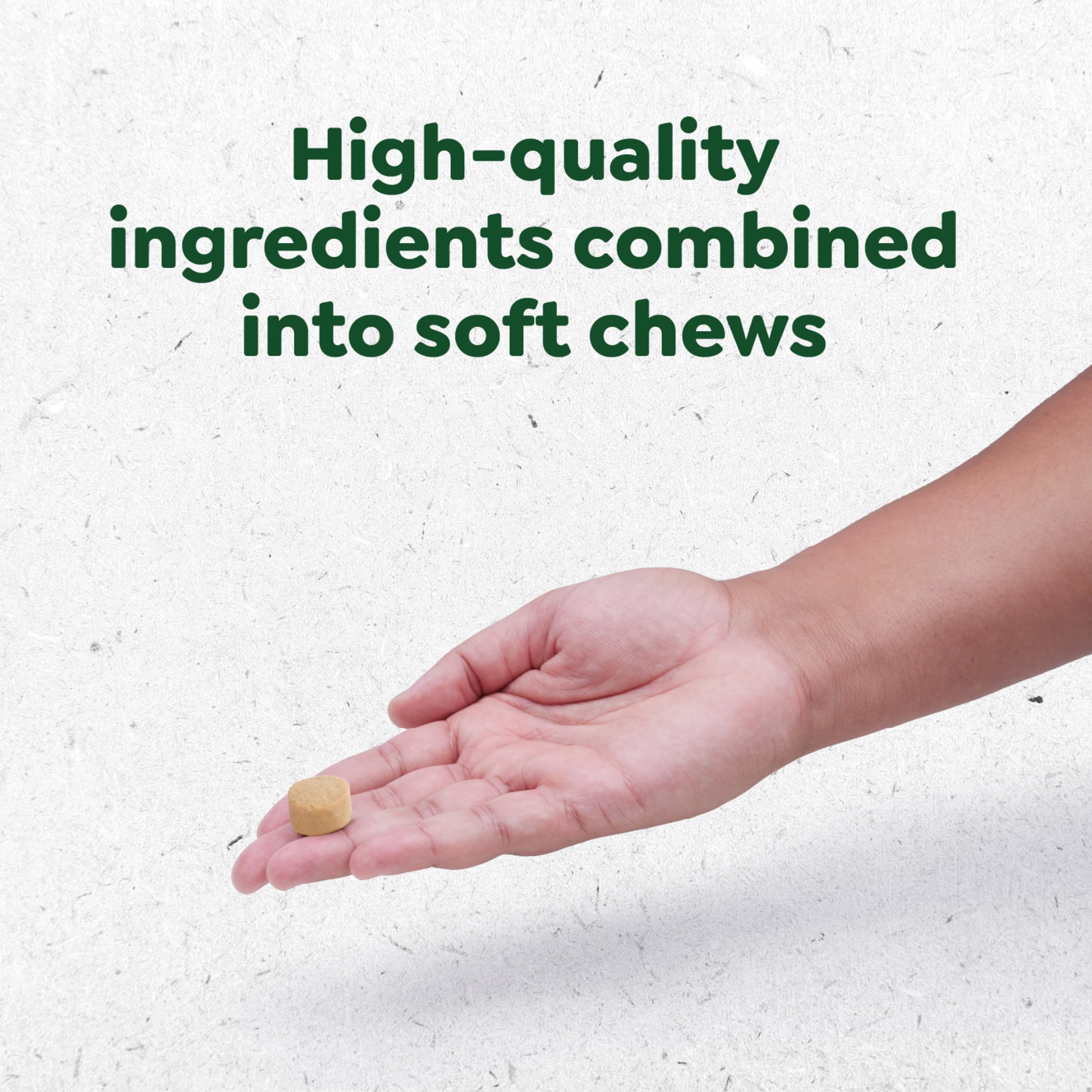 Greenies Dog Supplements 8-in-1 Multi-Benefit Dog Vitamins and Supplements Chicken Flavor, 15.5 oz. Container, 80 Count - Image 11