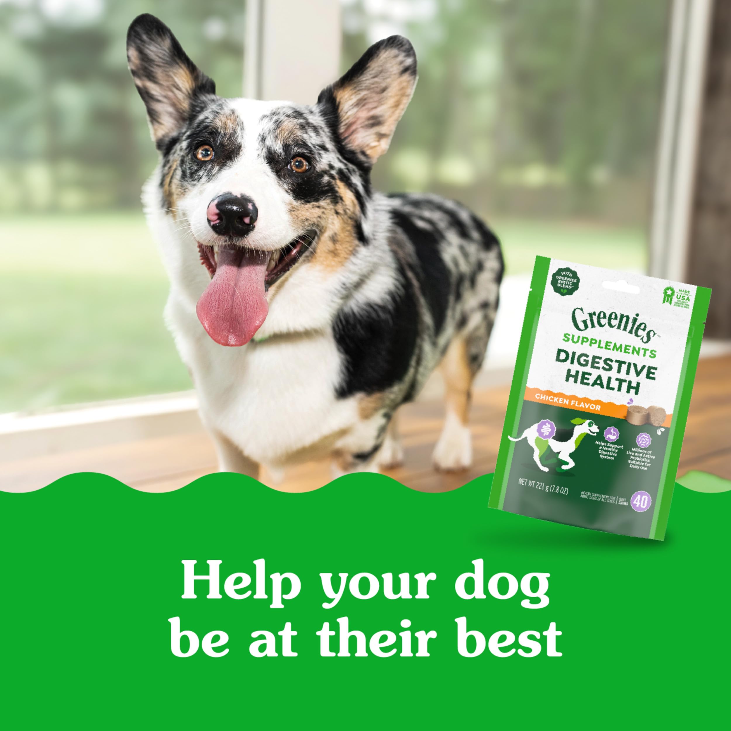 Greenies Supplements Digestive Health Probiotics for Dogs, Dog Probiotic Supplements, Chicken Flavor, 7.8 oz. Pouch of 40 Count - Image 10