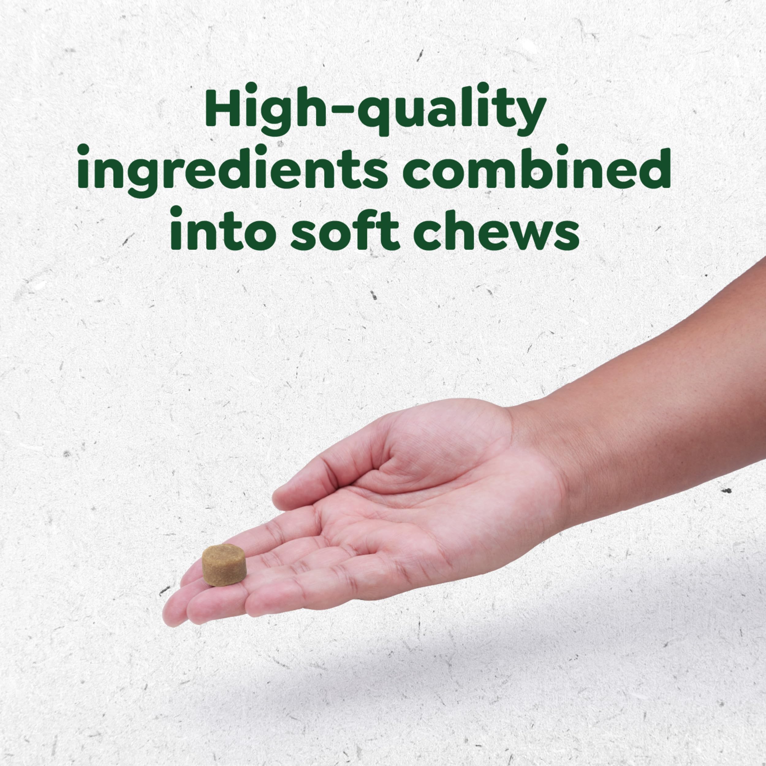 Greenies Supplements Digestive Health Probiotics for Dogs, Dog Probiotic Supplements, Chicken Flavor, 7.8 oz. Pouch of 40 Count - Image 12