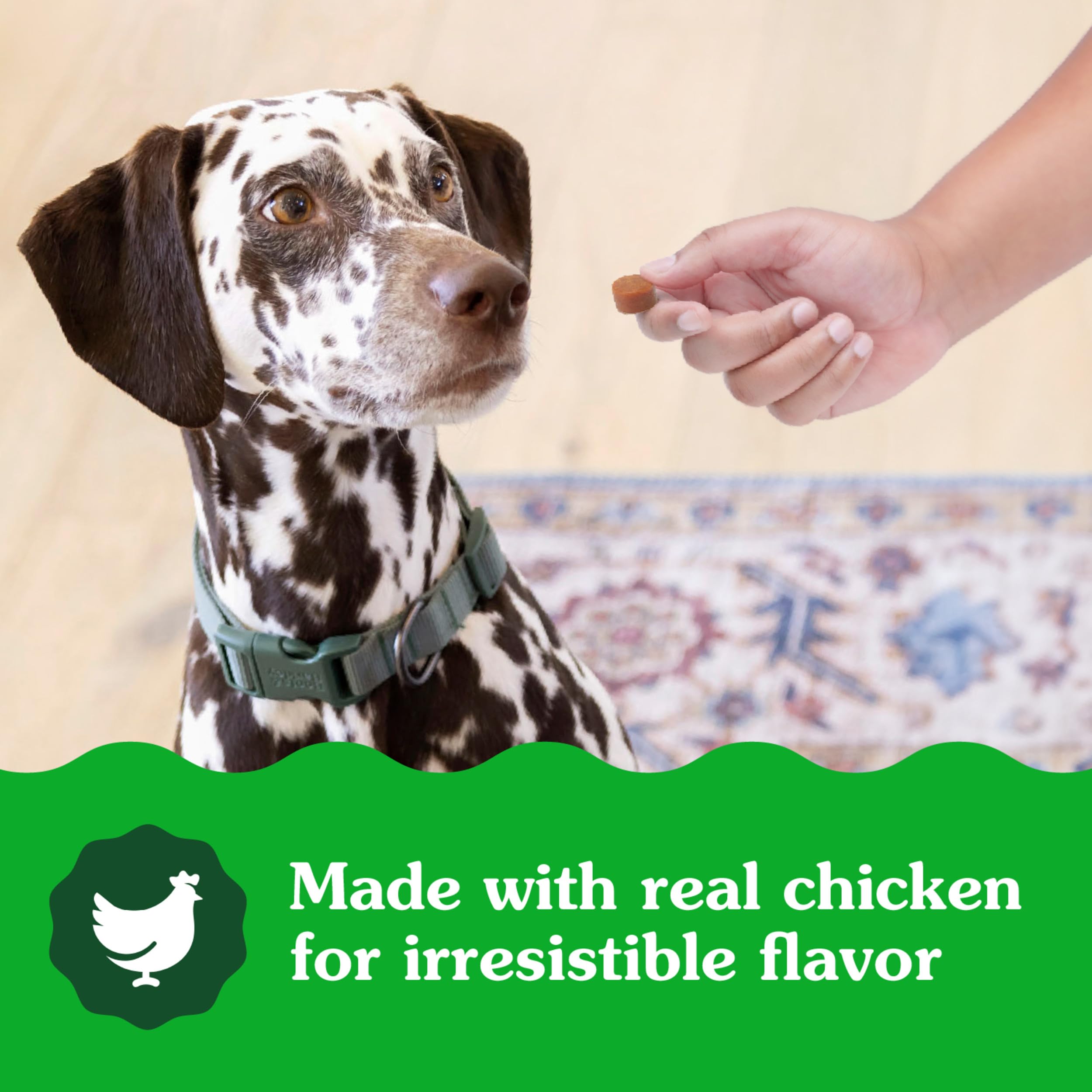 Greenies Dog Supplements 8-in-1 Multi-Benefit Dog Vitamins and Supplements Chicken Flavor, 15.5 oz. Container, 80 Count - Image 9