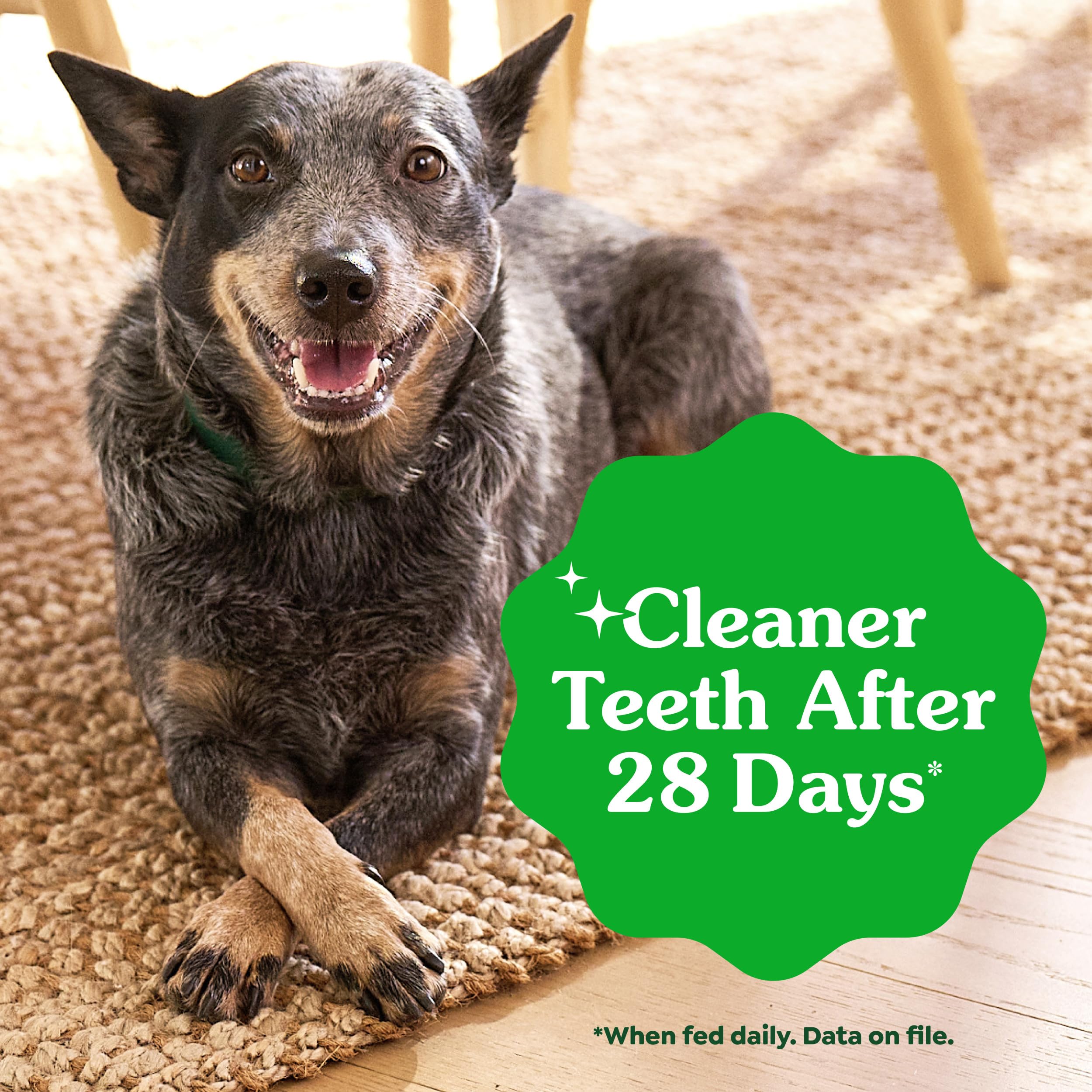 Greenies Large Dog Dental Chews, Sweet Potato Flavor, 12 oz. Pack, 8 Count - Image 5