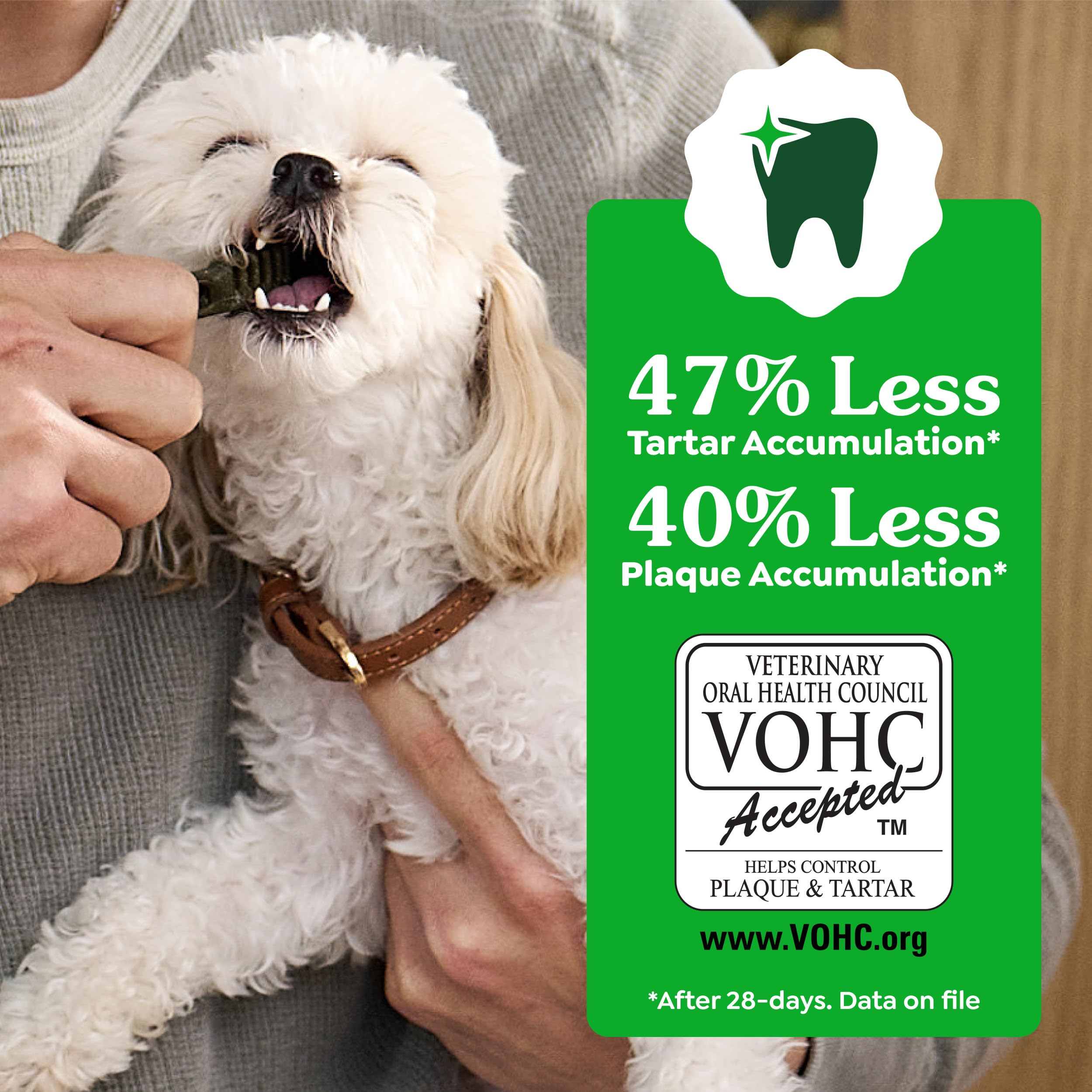 Greenies Large Dog Dental Chews, Sweet Potato Flavor, 12 oz. Pack, 8 Count - Image 6