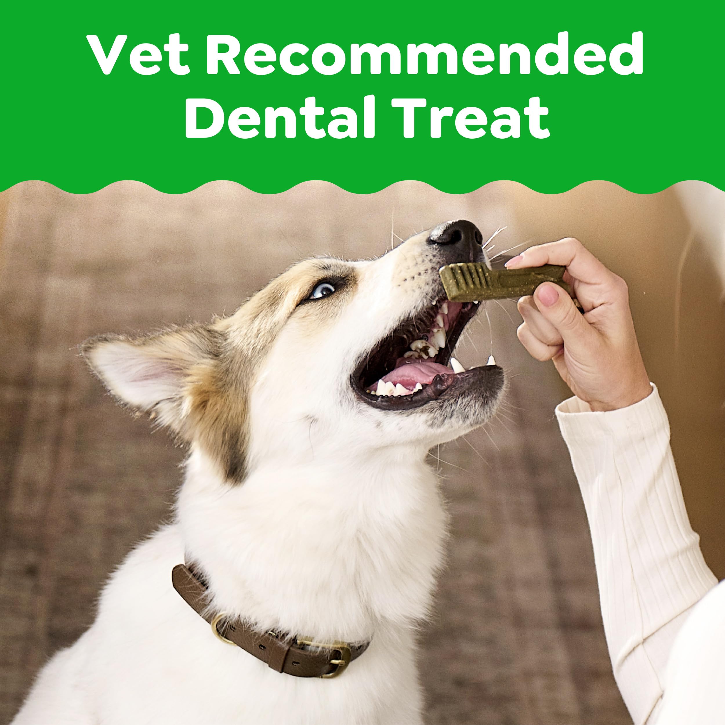 Greenies Veterinarian-Recommended Adult Natural Dental Dog Treats Petite Size, Weight Management Dog Dental Chews, 27 oz. Pack, 45 Count - Image 3