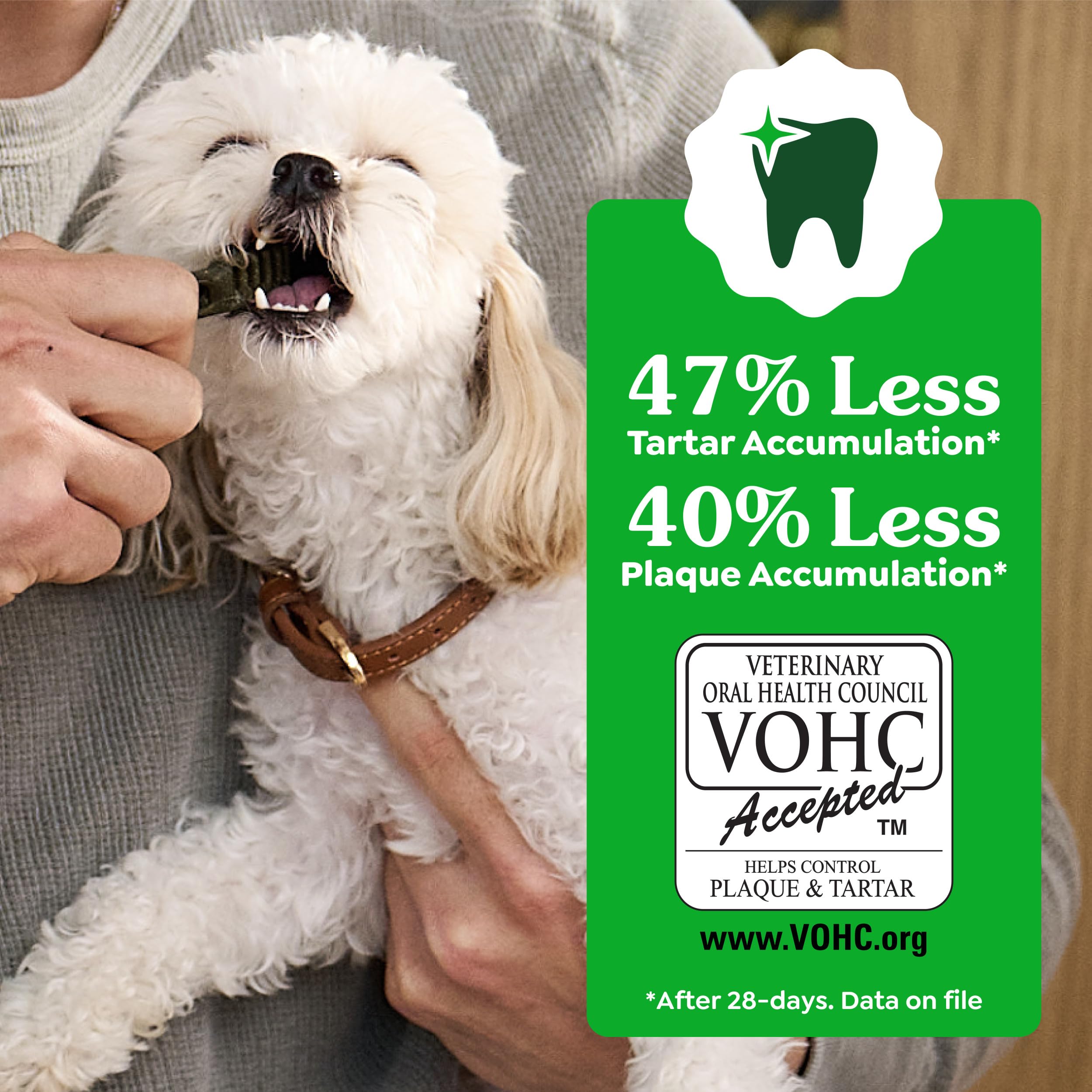 Greenies Veterinarian-Recommended Adult Natural Dental Dog Treats Petite Size, Weight Management Dog Dental Chews, 27 oz. Pack, 45 Count - Image 6